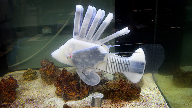 robot balık