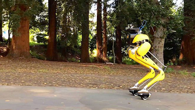 Cassie Cal robot