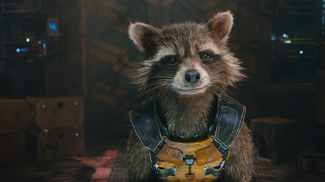 Rocket Raccoon