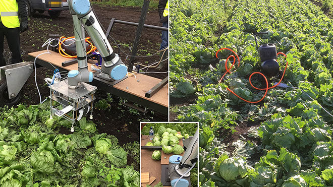 sebze toplama robotu