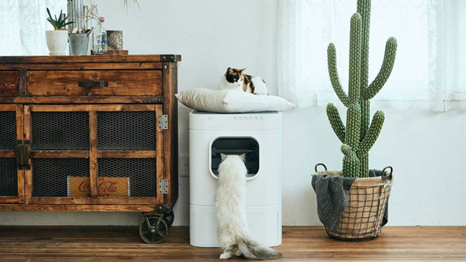 Akıllı kedi tuvaleti
