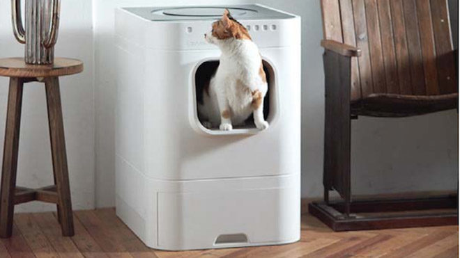 Akıllı kedi tuvaleti