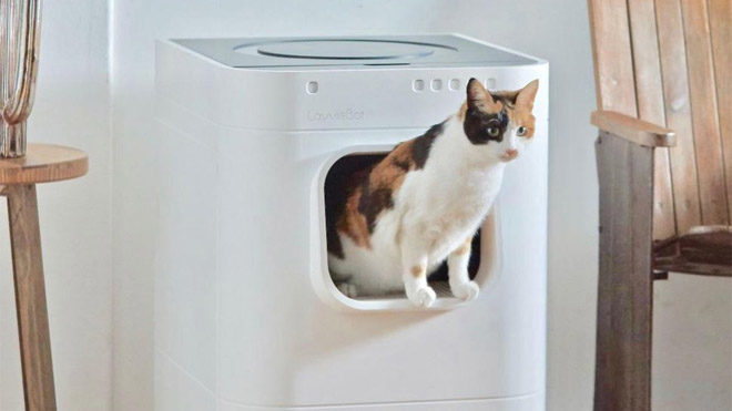 Akıllı kedi tuvaleti