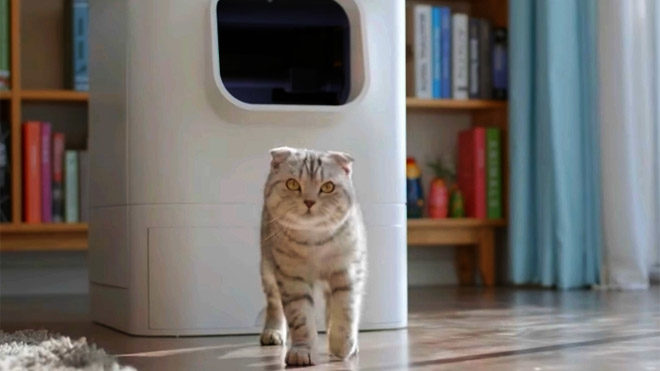 Akıllı kedi tuvaleti