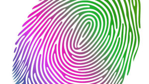 Google Chrome Android