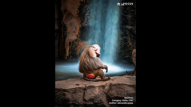 Huawei InFocus Fotoğrafçılık Yarışması