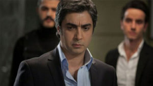 Netflix Kurtlar Vadisi