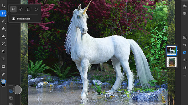 iPad için Photoshop