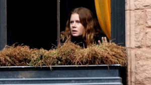 The Woman in the Window