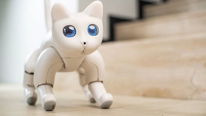 MarsCat robotik robot kedi