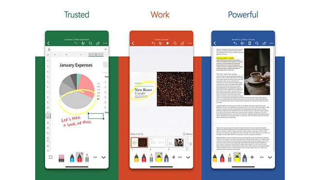 Excel, Word ve PowerPoint Microsoft