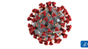 Koronavirüs