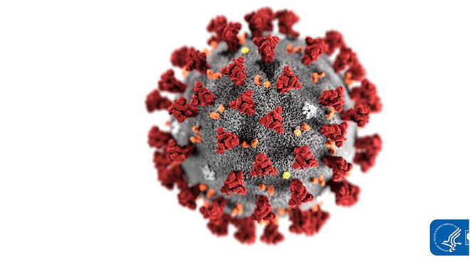 Koronavirüs