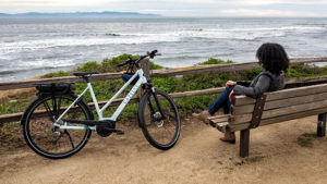 elektrikli bisiklet Gazelle Medeo T9