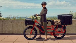 elektrikli bisiklet: RadWagon 4