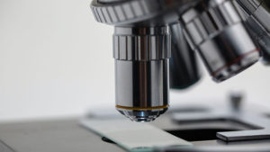 COVID-19 koronavirüs Genomize