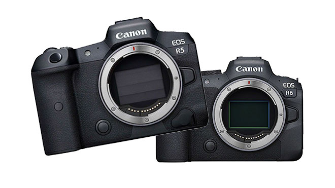 Canon EOS R5 ve Canon EOS R6