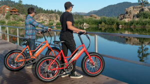 Pedego Element elektrikli bisiklet