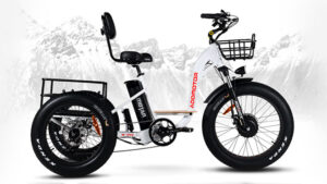 Addmotor M-340 kullanışlı bir elektrikli bisiklet