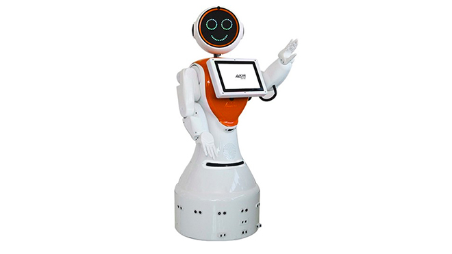 Akınrobotics Mini Ada