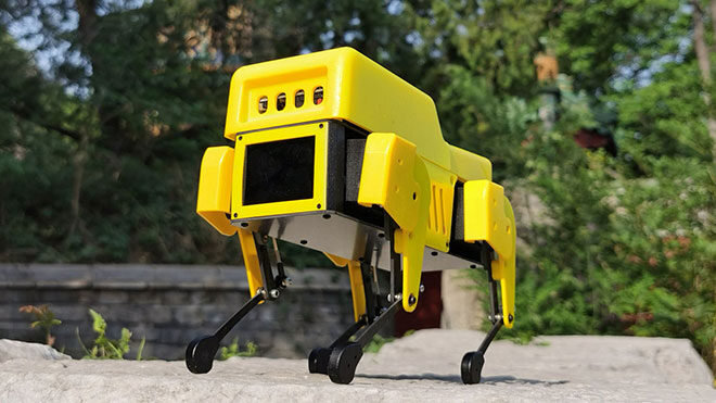 robot köpek