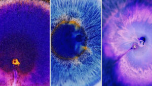 Samsung Galaxy S22 , OPPO Find X5