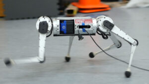 Robot köpek MIT Mini Cheetah