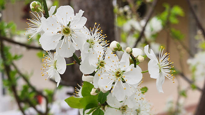 Samsung Galaxy S22 Ultra