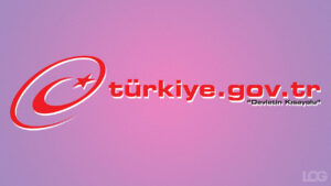 e-Devlet LOG Tasarım