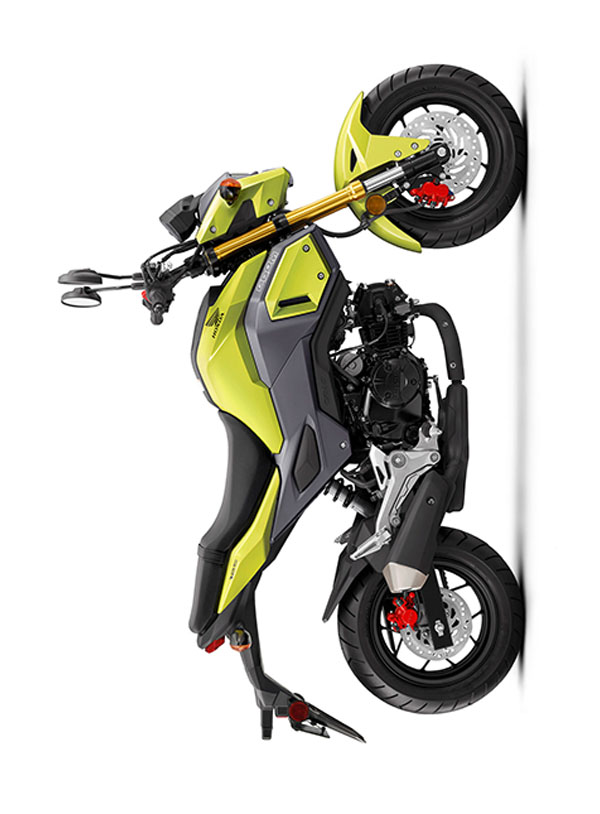 B sınıfı ehliyet ile kullanılabilen 125 cc altı Honda motosiklet modelleri