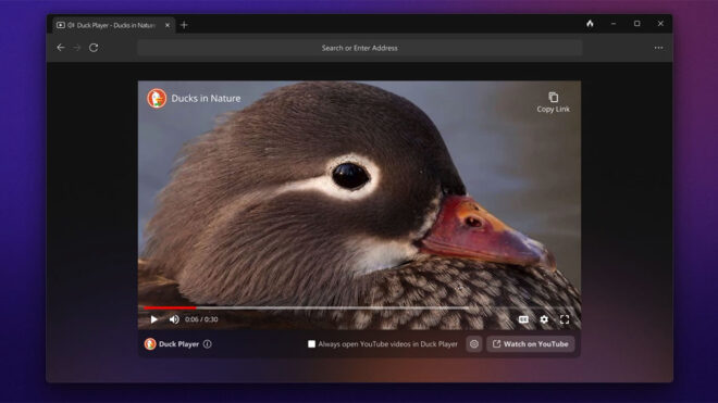 DuckDuckGo Windows