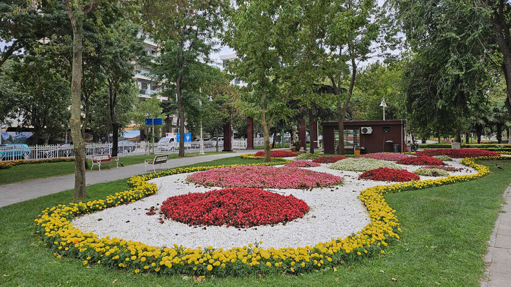 Samsung Galaxy Z Flip 5