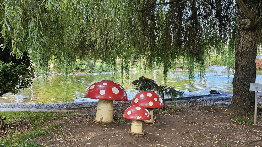 Samsung Galaxy Z Flip 5