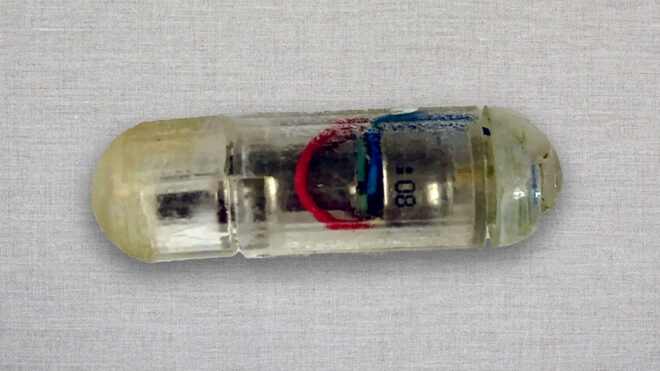 Midede titreyerek tokluk hissi yaratan hap