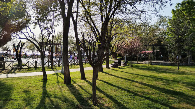 Huawei Nova 12 SE-200