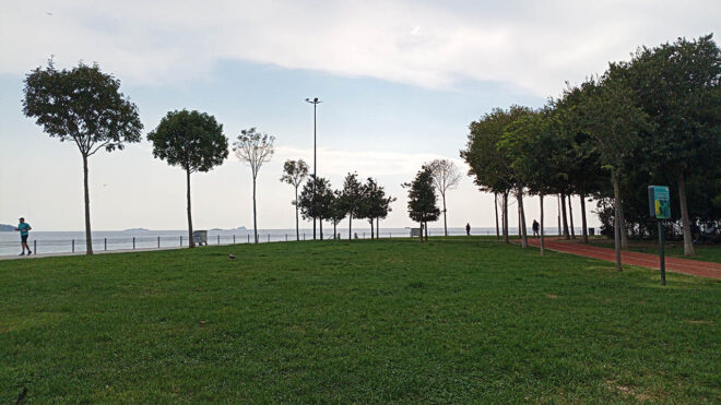 General Mobile Era 50