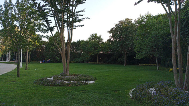 General Mobile Era 50