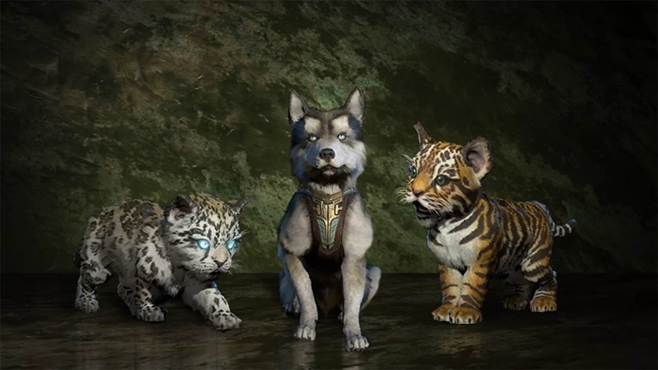 Diablo IV Vessel of Hatred