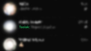 WhatsApp LOG Görsel