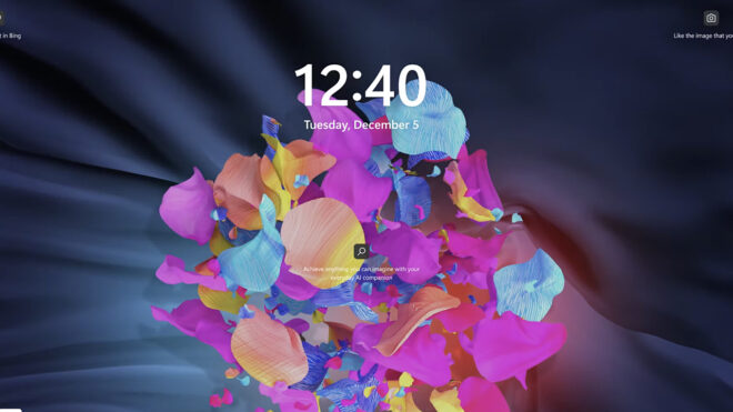 Windows 11