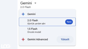 Gemini 2.0 Flash LOG Görsel
