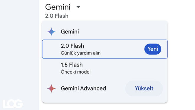 Gemini 2.0 Flash LOG Görsel