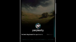 Perplexity