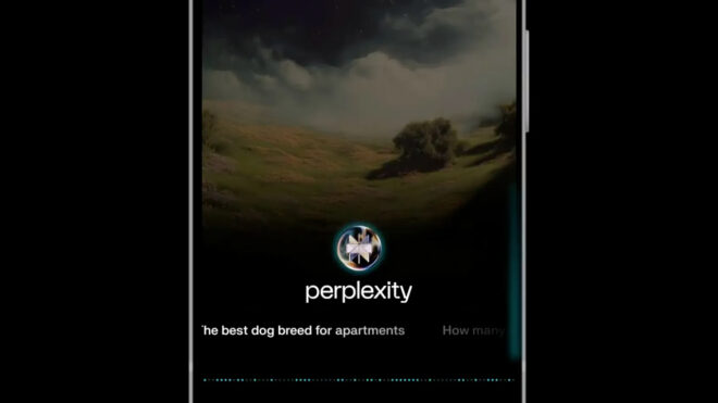 Perplexity