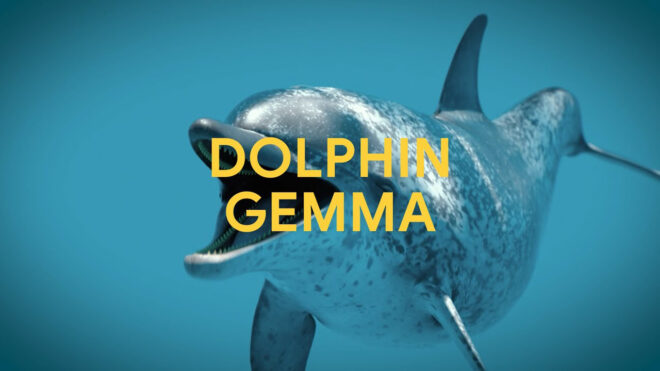Google DolphinGemma