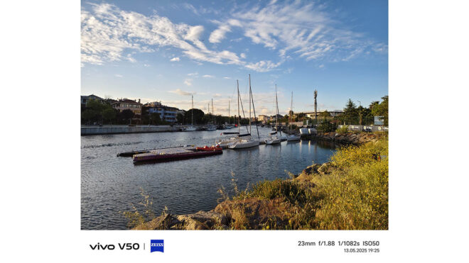 vivo V50