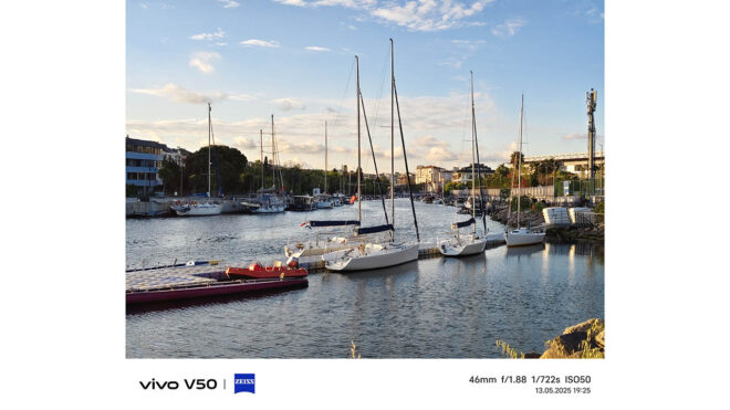 vivo V50