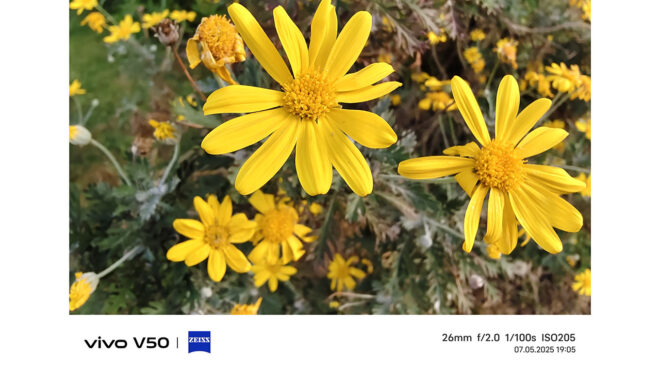 vivo V50