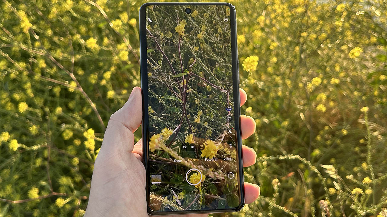 vivo V50