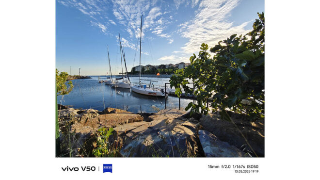 vivo V50